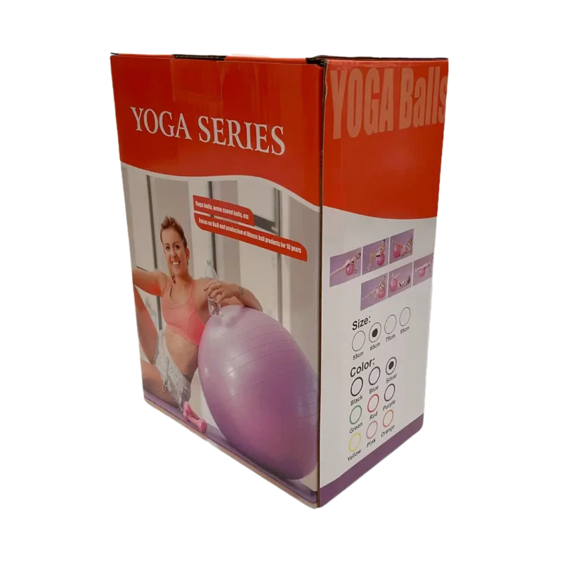 BALON PILATES ONZE360 65 CM